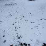 Ebay: Der Winter steht zum Verkauf